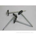 umbrella head smooth shank roofing nails